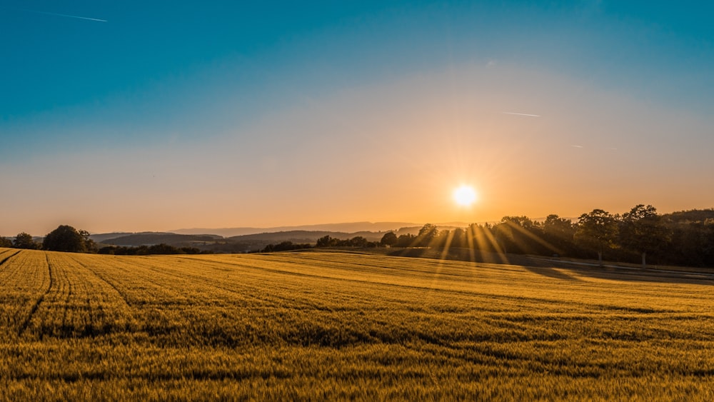 Servizi assicurativi agricoltura